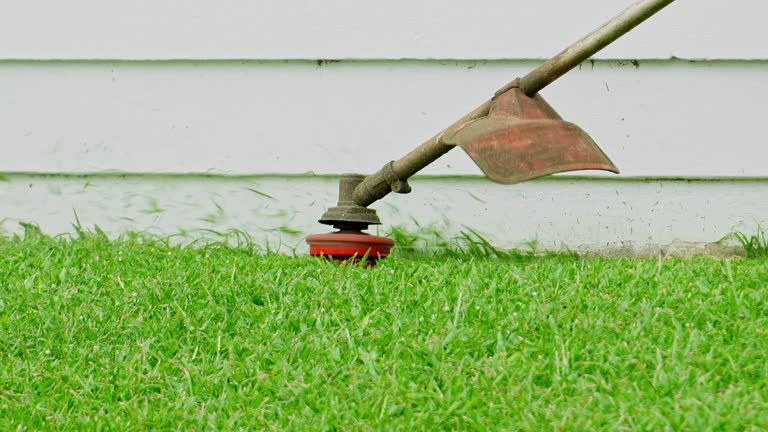 Lawn Irrigation Installation and Maintenance in South Uniontown, PA